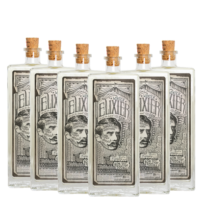 Elixier Winter Gin | Kiste | 6x 50cl